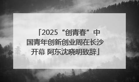 2025“创青春”中国青年创新创业周在长沙开幕 阿东沈晓明致辞