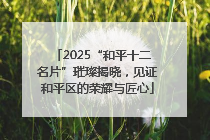 2025“和平十二名片”璀璨揭晓，见证和平区的荣耀与匠心