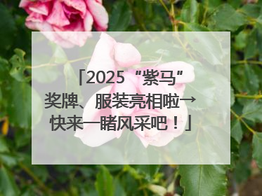 2025“紫马”奖牌、服装亮相啦→快来一睹风采吧！
