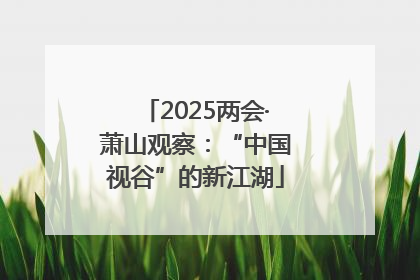 2025两会·萧山观察：“中国视谷”的新江湖