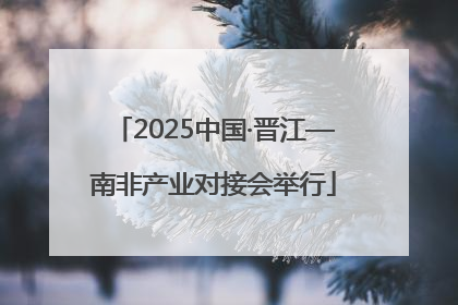 2025中国·晋江—南非产业对接会举行