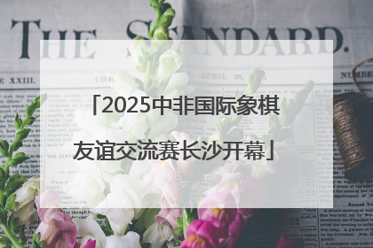 2025中非国际象棋友谊交流赛长沙开幕