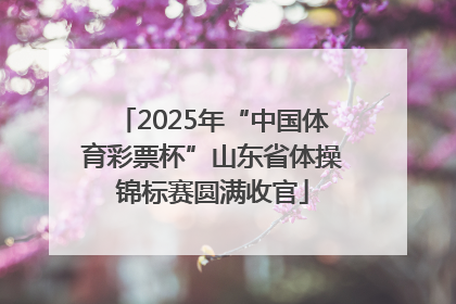 2025年“中国体育彩票杯”山东省体操锦标赛圆满收官