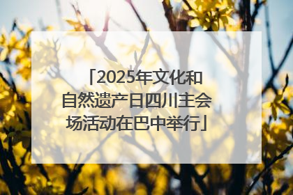 2025年文化和自然遗产日四川主会场活动在巴中举行