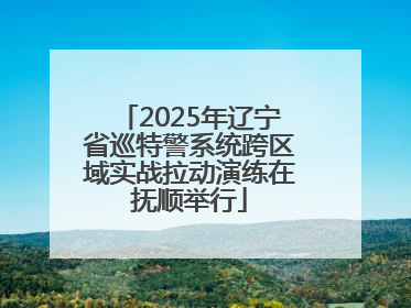 2025年辽宁省巡特警系统跨区域实战拉动演练在抚顺举行