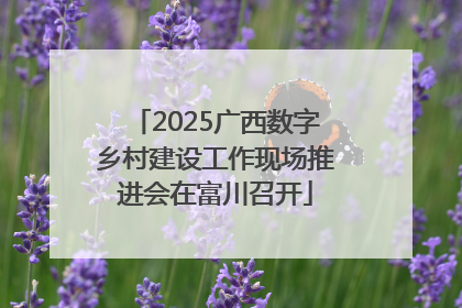2025广西数字乡村建设工作现场推进会在富川召开