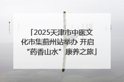 2025天津市中医文化市集蓟州站举办 开启“药香山水”康养之旅
