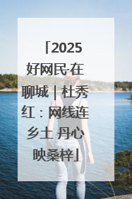 2025好网民·在聊城｜杜秀红：网线连乡土 丹心映桑梓