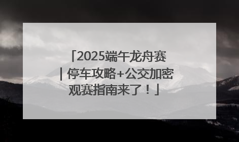 2025端午龙舟赛｜停车攻略+公交加密 观赛指南来了！