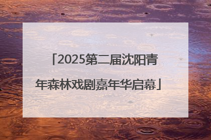 2025第二届沈阳青年森林戏剧嘉年华启幕