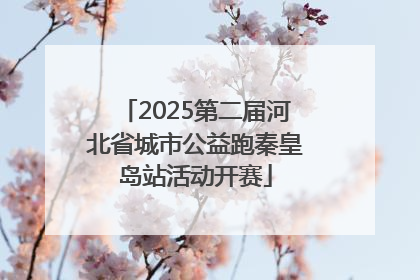 2025第二届河北省城市公益跑秦皇岛站活动开赛