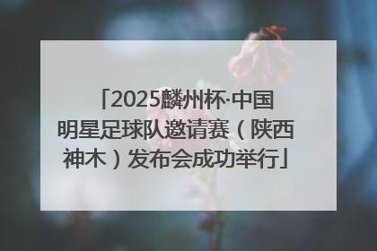 2025麟州杯·中国明星足球队邀请赛（陕西神木）发布会成功举行