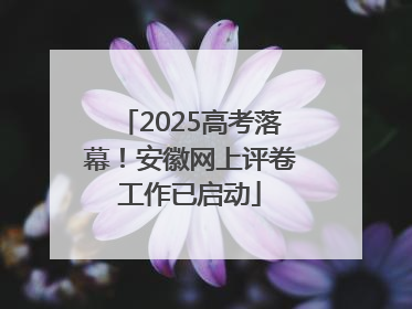 2025高考落幕！安徽网上评卷工作已启动