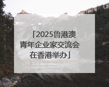 2025鲁港澳青年企业家交流会在香港举办