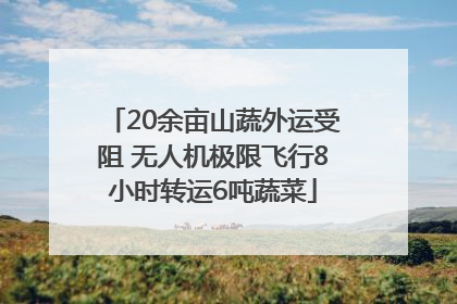 20余亩山蔬外运受阻 无人机极限飞行8小时转运6吨蔬菜