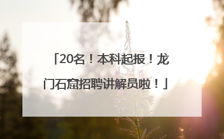 20名！本科起报！龙门石窟招聘讲解员啦！