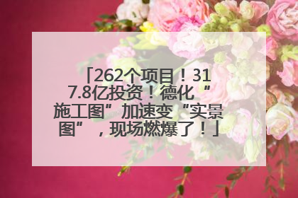 262个项目！317.8亿投资！德化“施工图”加速变“实景图”，现场燃爆了！