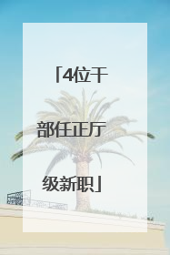 4位干部任正厅级新职