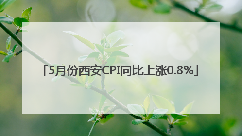5月份西安CPI同比上涨0.8%