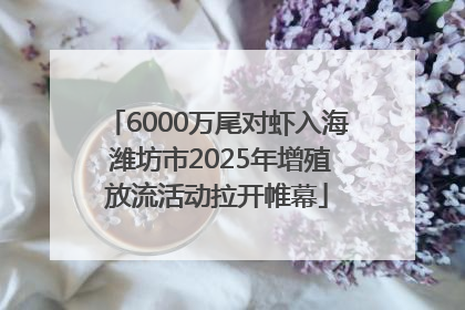 6000万尾对虾入海 潍坊市2025年增殖放流活动拉开帷幕