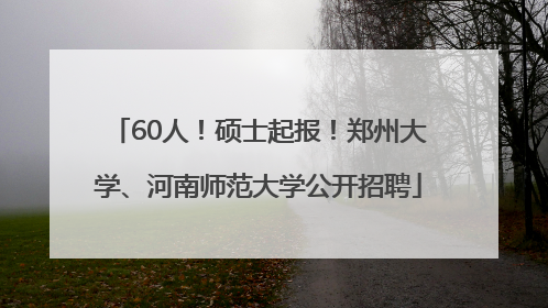 60人！硕士起报！郑州大学、河南师范大学公开招聘