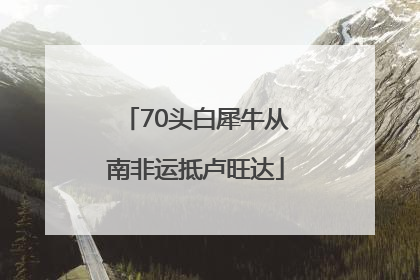 70头白犀牛从南非运抵卢旺达