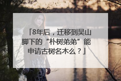 8年后，迁移到吴山脚下的“朴树弟弟”能申请古树名木么？