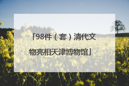 98件（套）清代文物亮相天津博物馆