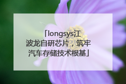 longsys江波龙自研芯片，筑牢汽车存储技术根基